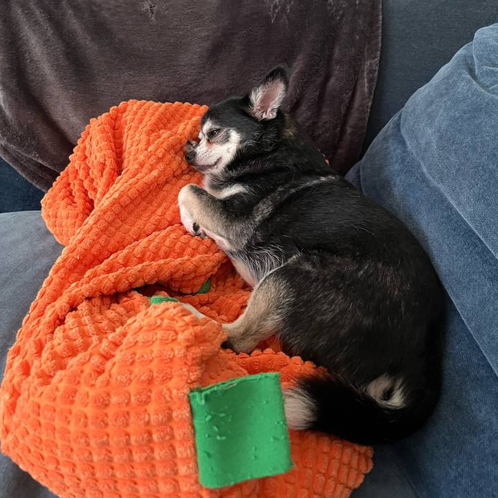 7a6a8500 d357 413b a1b5 84337bcd5bd8 1691974468781