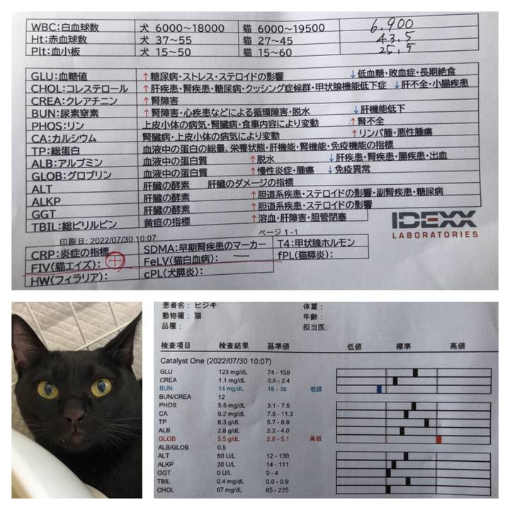 7a6ac4e8 d3df 437d a4a3 e7c3d3dc6437 1659147633951