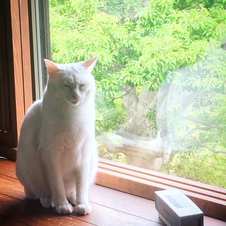 7a6ad7c7 0b36 4ba1 b42e be960751ebd3 1557875999329