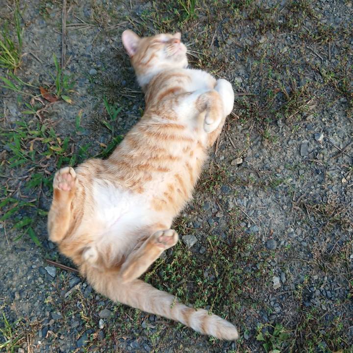 7a6af277 52cd 4ebc 9d13 5c8fd05d1aa3 1564691983282