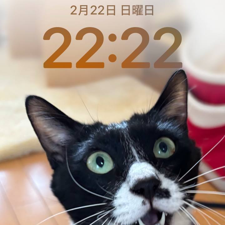 7a6afe9d 6674 4e01 9a0f 326deace048b 1771766566893