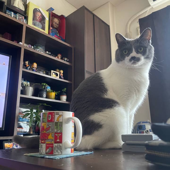 7a6b15e6 8032 4285 8de5 112a2b15f24f 1754723312123