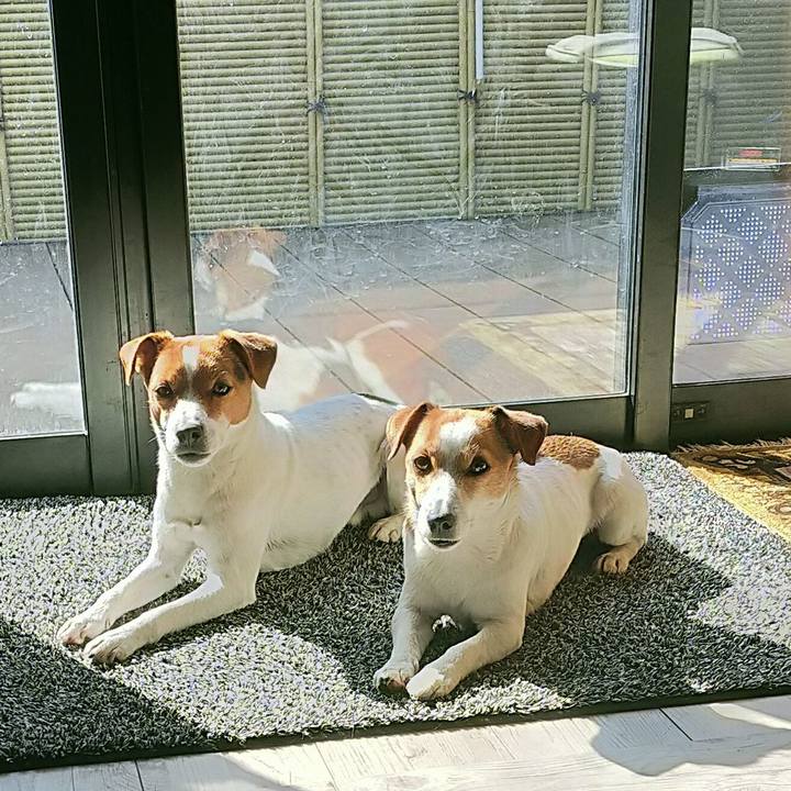 7a6b2133 1fa0 4e7e 96b7 18ce862f5828 1773130497089