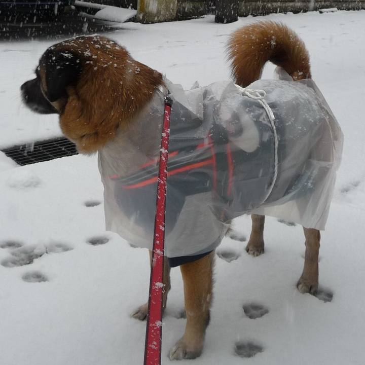 7a6b369c e655 4997 bf15 0a98c3176711 1577757089152