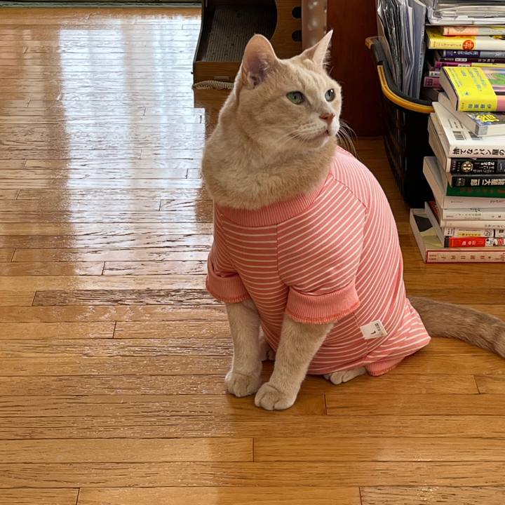 7a6b7a36 2e7d 4363 9f5a ddb98c2597dc 1762053886059