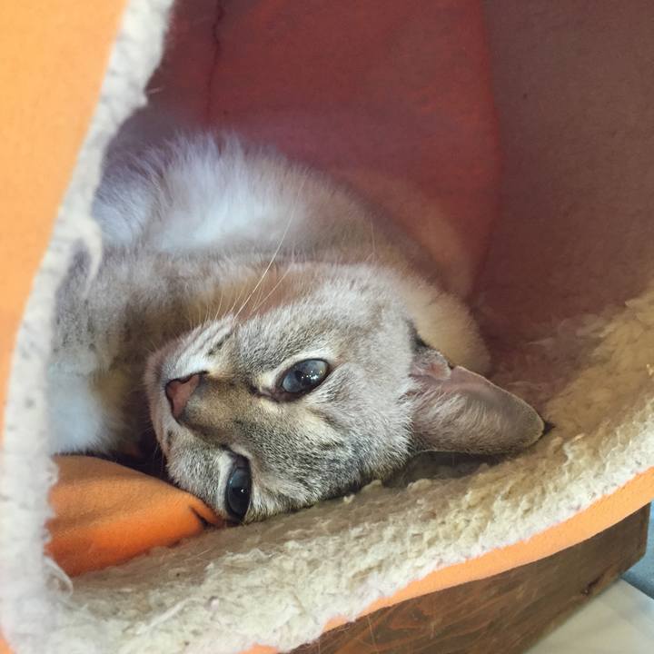 7a6b8d3a 3007 440c a5f3 dfa148ee5b27 1536481092184