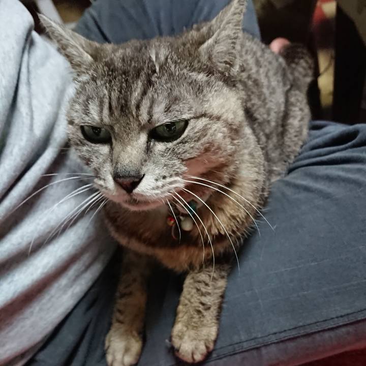 7a6b8fd0 a5df 4553 bb89 49ab24ddab34 1561843513657