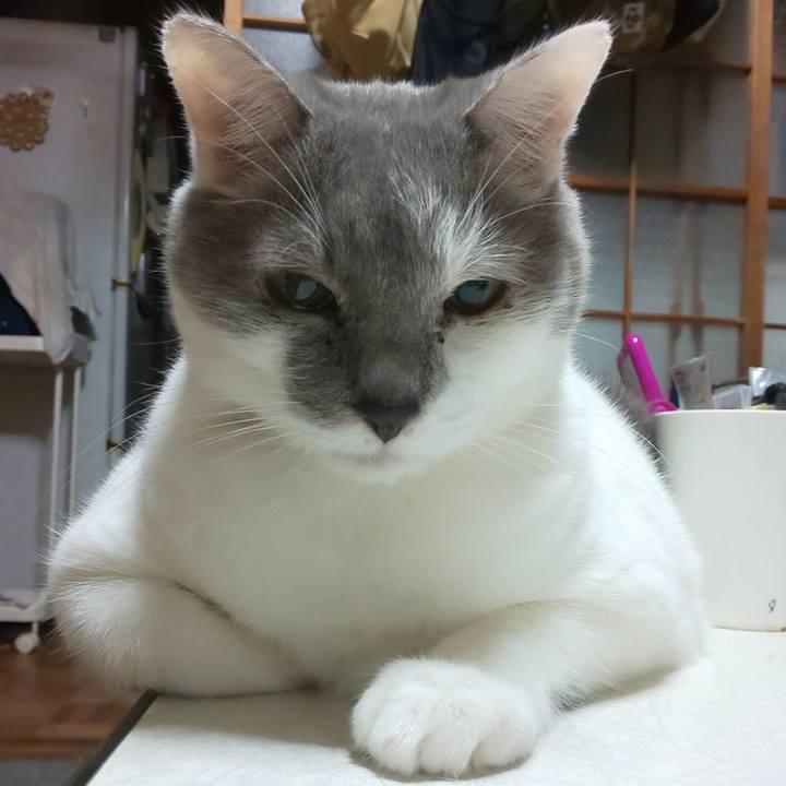 7a6ba60a 436c 4edc 9666 cf890eef6b1c 1698342215853