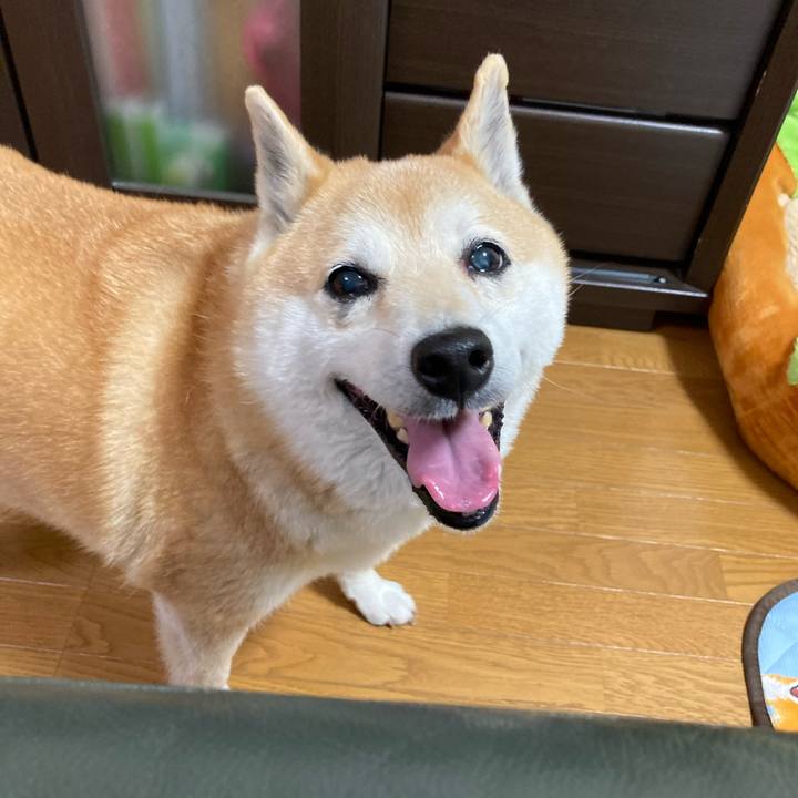 7a6bd566 5ab0 42bf b7f6 52787c8a614f 1625044640452