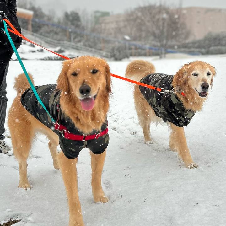 7a6be48c 0581 4a27 b2d9 5264de80586f 1770510448627