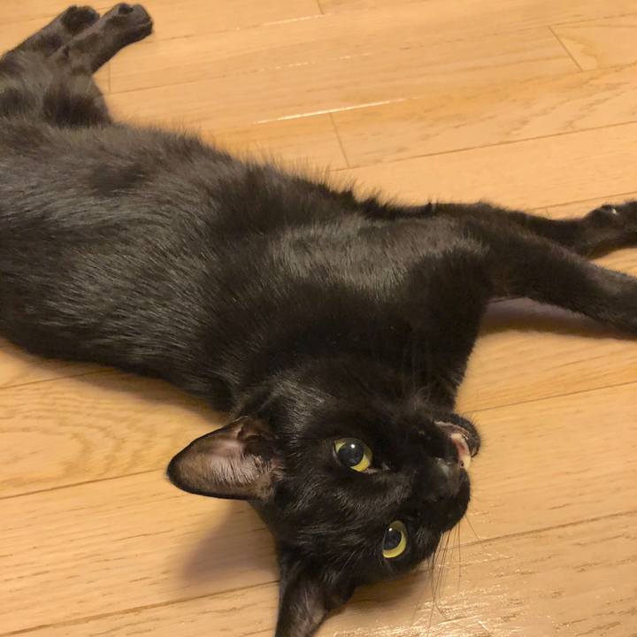 7a6beae8 e87d 486c 955f c16080d57bf0 1569160213093