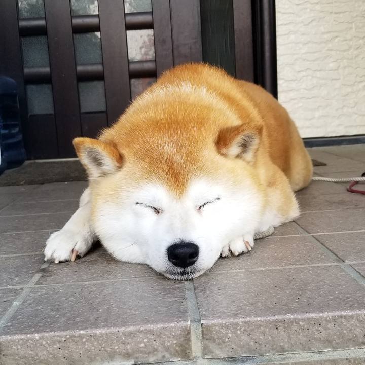 7a6bf4f5 4bde 44d7 b873 8a1442653175 1654733047226