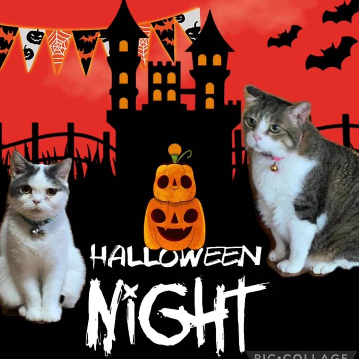 7a6c139e a5c0 4dc1 8146 dafcaa1043c1 1698750684632