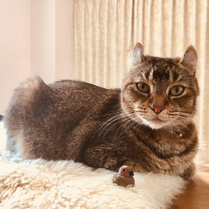 7a6c50d3 961c 439e a8b6 9156d12c8991 1564543814617