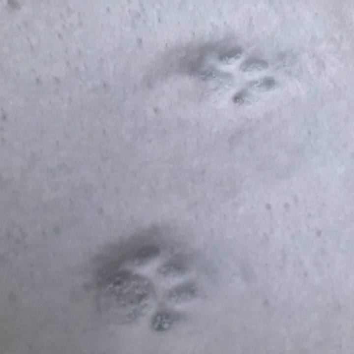 7a6c8f86 690b 4aed 984d ed393b8f4958 1610166210835