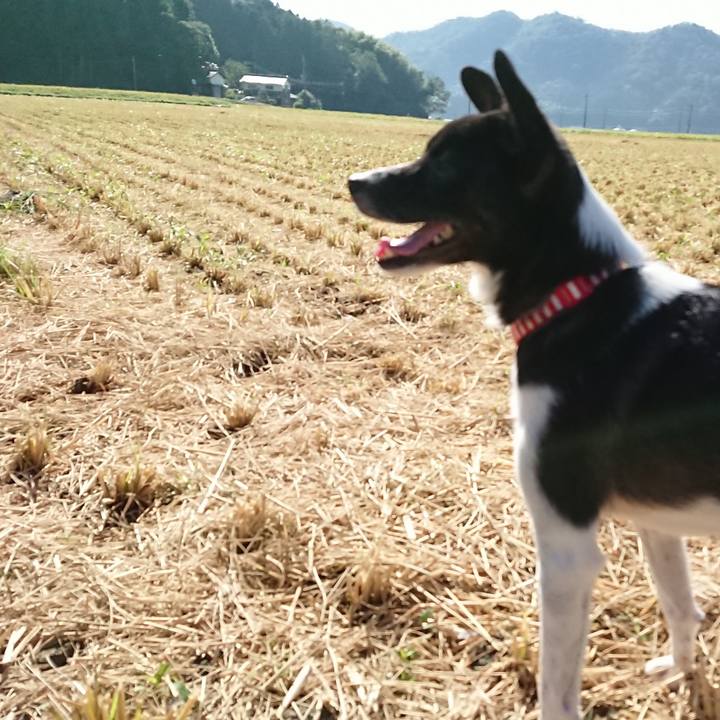 7a6ca7fd f815 4989 bcd8 a0bf617069b2 1535933137436