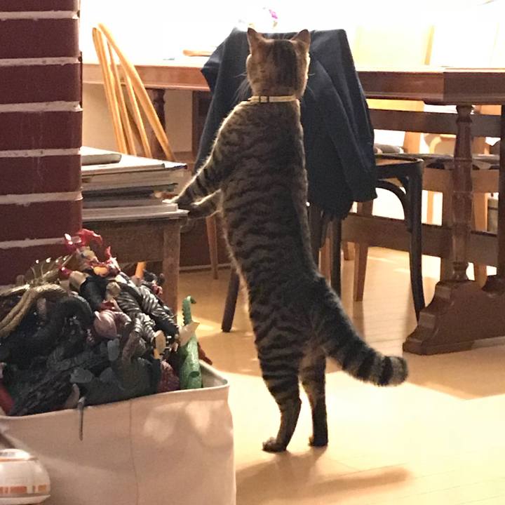 7a6cca8d 5b83 4b09 bd02 303f8cb97cf4 1514442606232