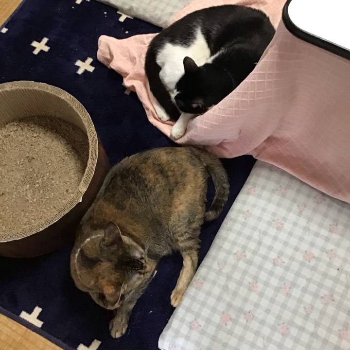 7a6cd599 e75b 4de9 a950 f24c17940b2b 1715225159765