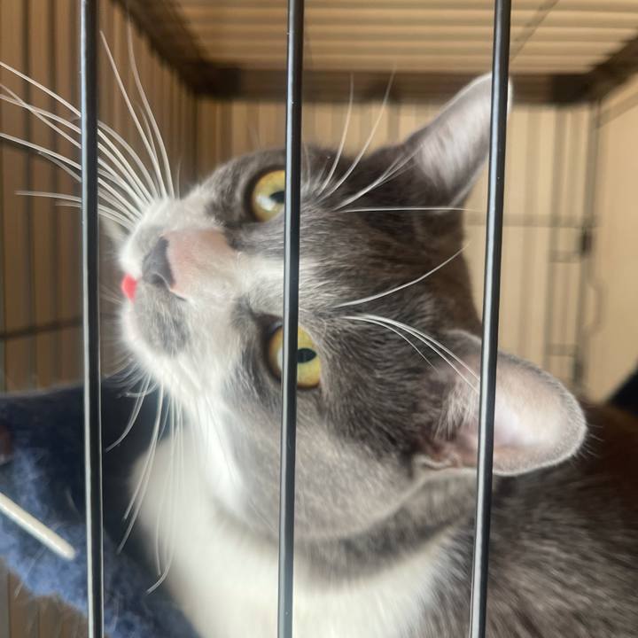 7a6d354b 88fa 45de ad48 61df4cfe7557 1640490852594