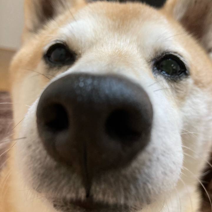 7a6d91ab 264c 4383 8ecd d562ff92ac94 1615943960856