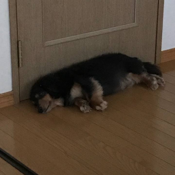 7a6dcf91 8837 47fb b433 1d63aa65939a 1531258848187