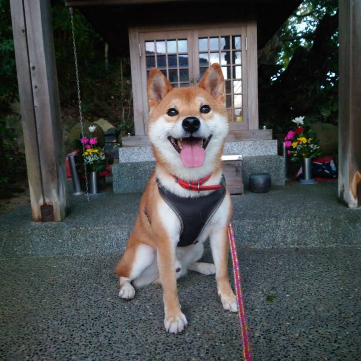 7a6dd2e3 0184 4de8 a10d 5f7c6b9a64c6 1759975426052