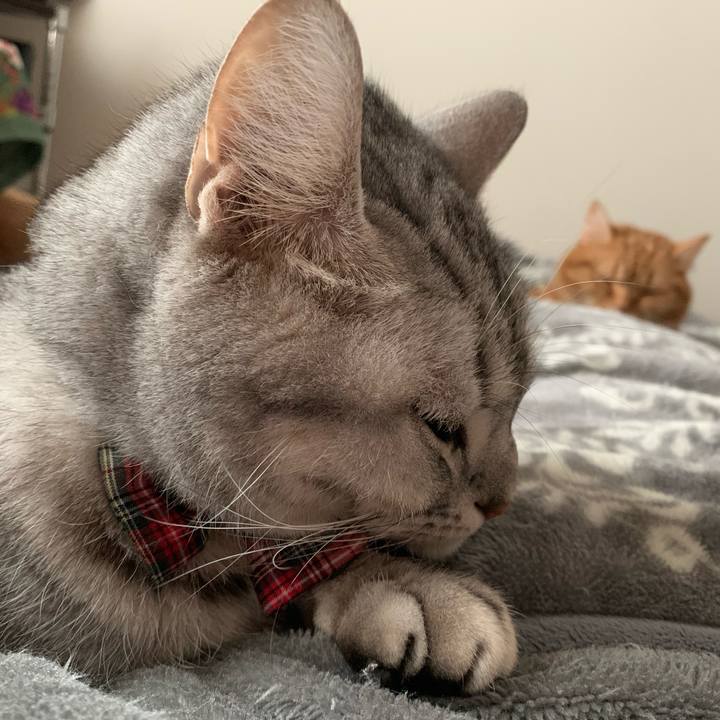 7a6de36d 5e4a 426b 8b50 3a68395d5f38 1585005825929