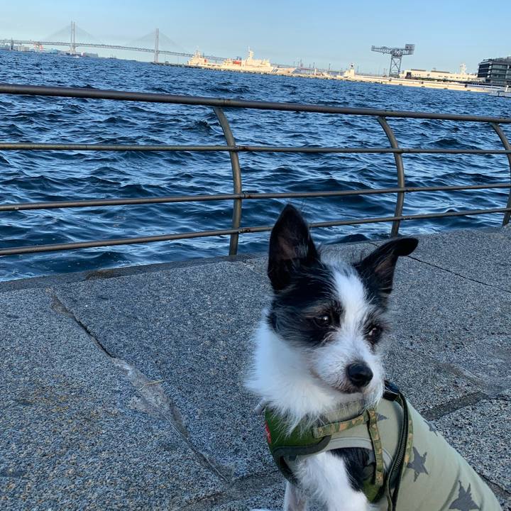 7a6dee63 b618 474a abf7 e889e23b7f69 1601282799081