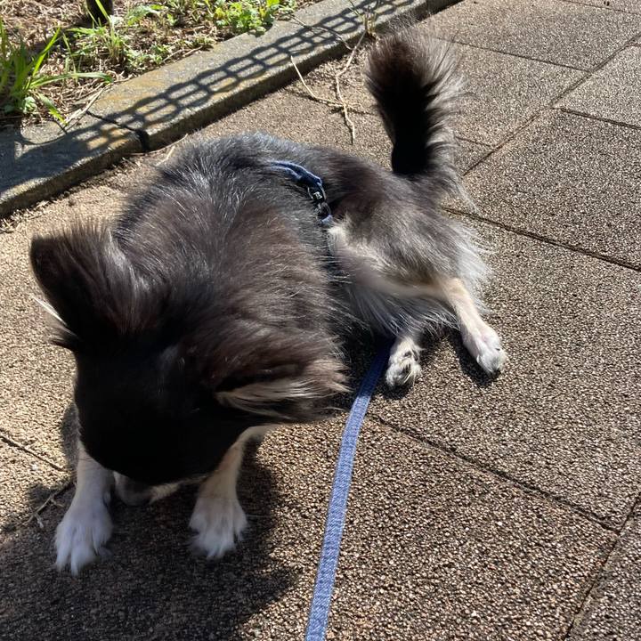 7a6df9dd 29f2 448e 9826 0ec6b73af9b1 1635566573733