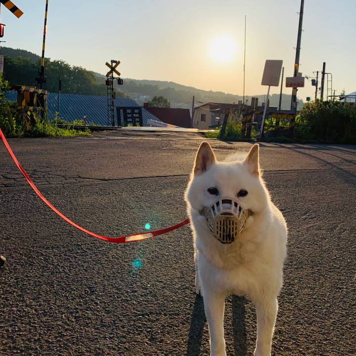 7a6e04b9 05b6 42ce b1de e21d43cee31b 1592080264592