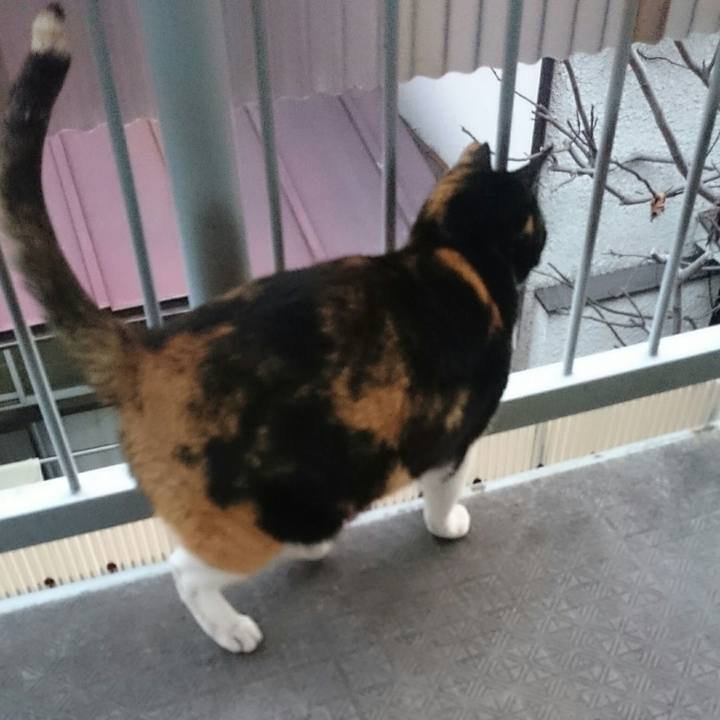 7a6e0a2d 642e 4060 875c 12f677972448 1518749616574