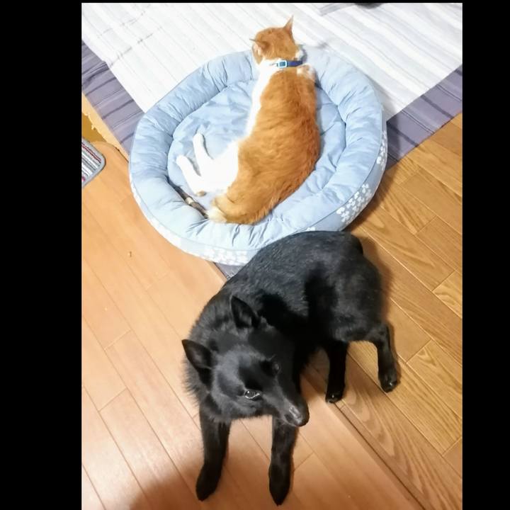 7a6e1773 ea55 47e9 bdf1 f1a2be5b886d 1720647311617