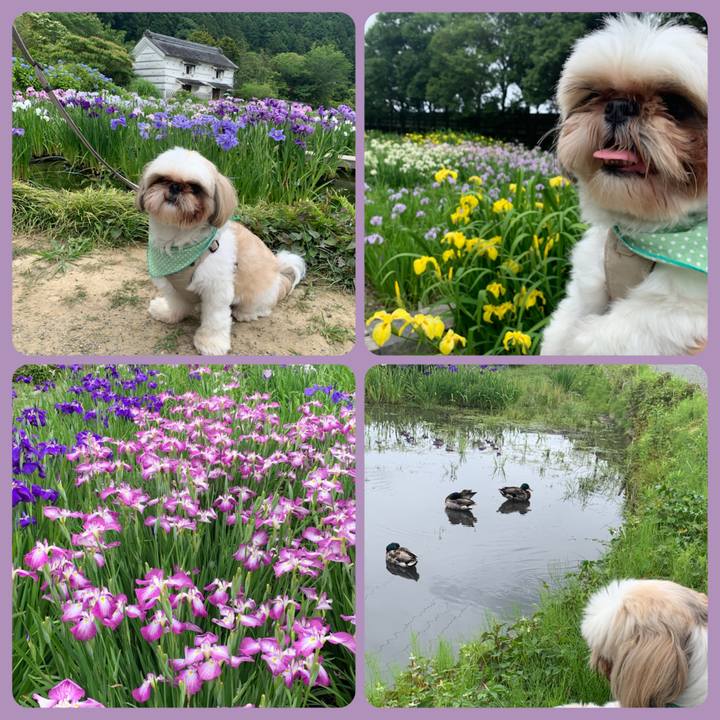 7a6e25d0 5050 4a9c aa6c 488dce1d8a8c 1655039416074