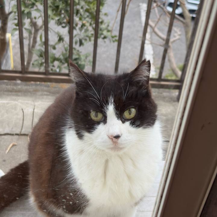 7a6e7b6d 5e1e 4e75 884f 77c3463a4c41 1773911830376