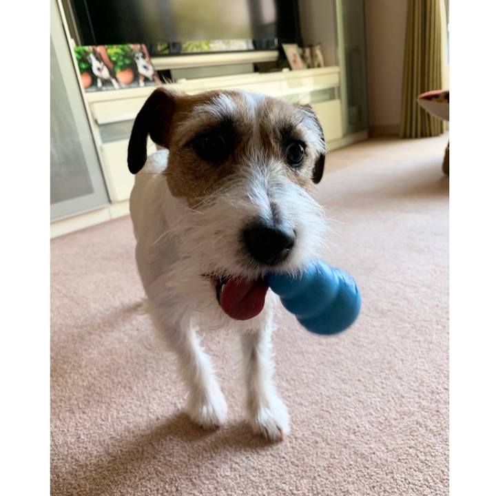 7a6e9aec 82c2 457c a27a f128a3c3c6ef 1586909445077