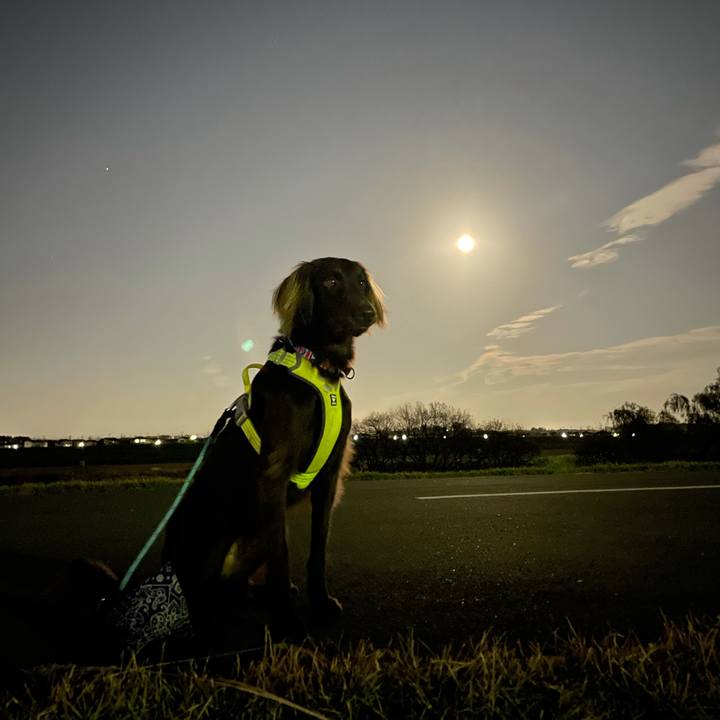 7a6ee1fe 7a29 4551 8d88 214c9a4dc16d 1606730463860