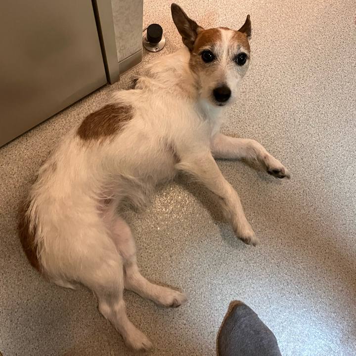 7a6f12bc 8ca2 41f9 8541 e81861cd51fc 1682638237550