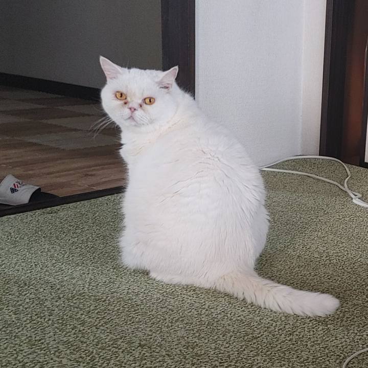 7a6f1eae 7d72 495b abaa e7cc0e1d8054 1751700559711