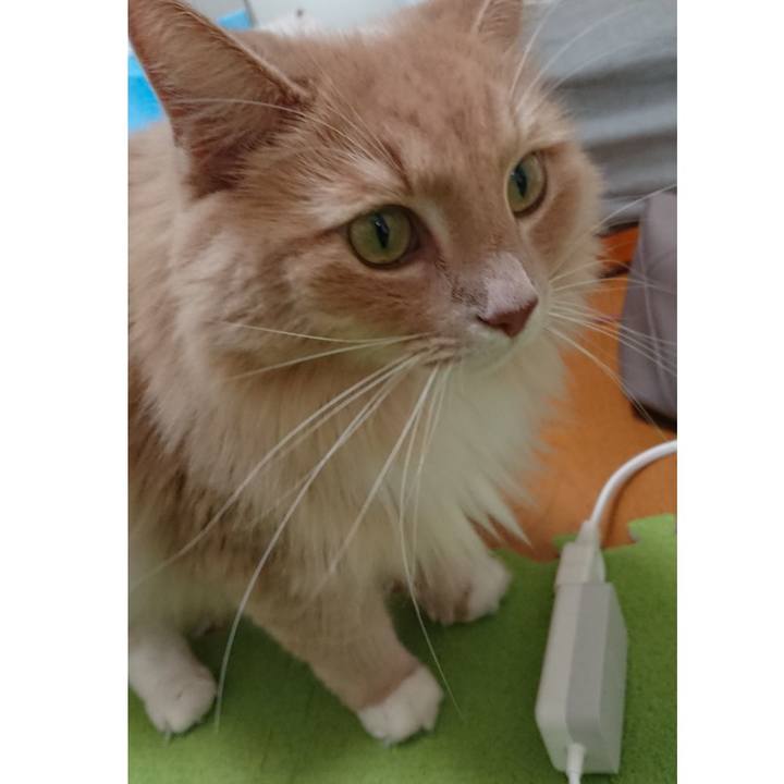 7a6f25e9 65e7 40ef 9c06 2af05969a2de 1570191548686