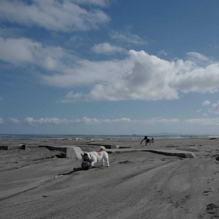 7a6f31a9 2df0 429c 892a d282131aa4e8 1621551581112