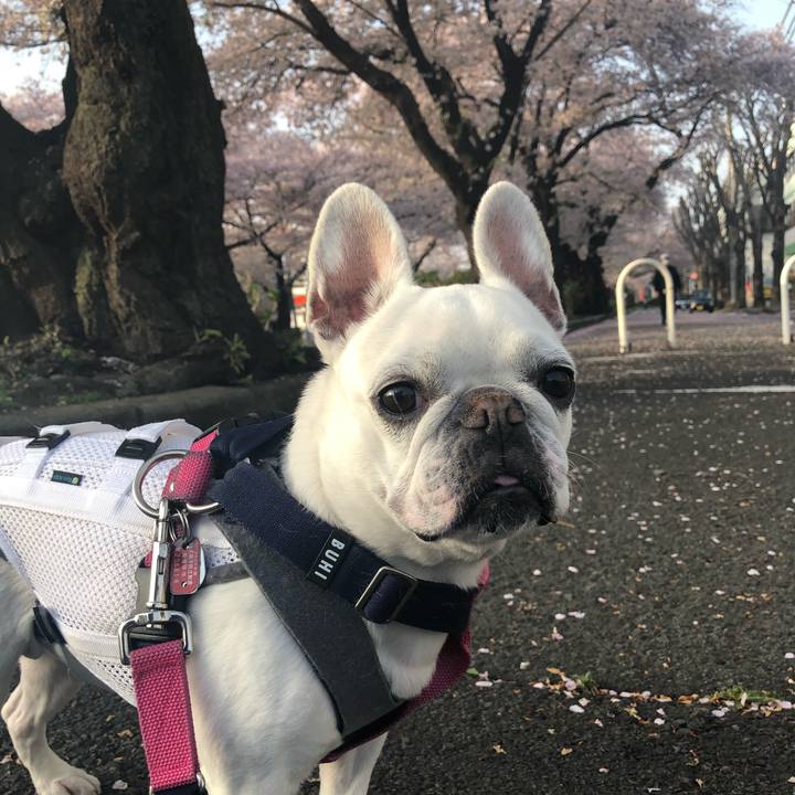 7a6f53c2 2488 4915 a5d2 58805291bf21 1617183711193