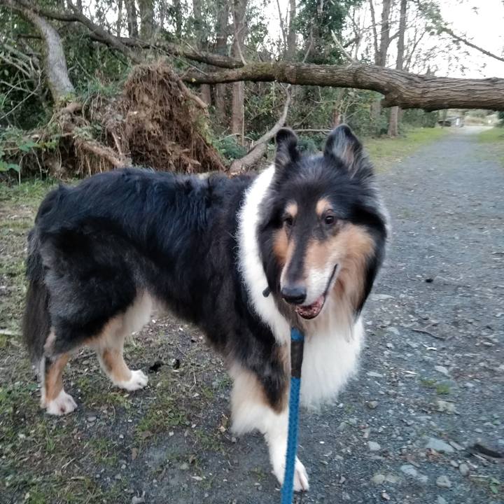 7a6f654b 2e9f 4a08 b68a da78a06c5ea5 1540214557814