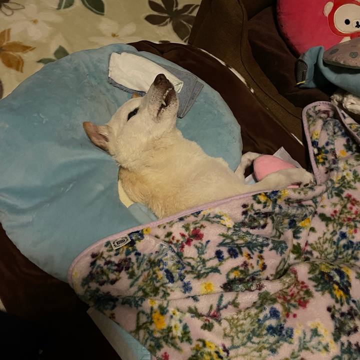 7a6f8a26 4de3 4161 9ab2 286c2e6d3363 1677523269147