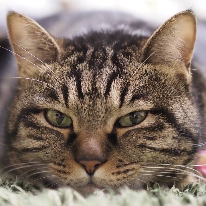 7a6fa13d ca0b 4bad 9a45 0109903c705b 1612584696216