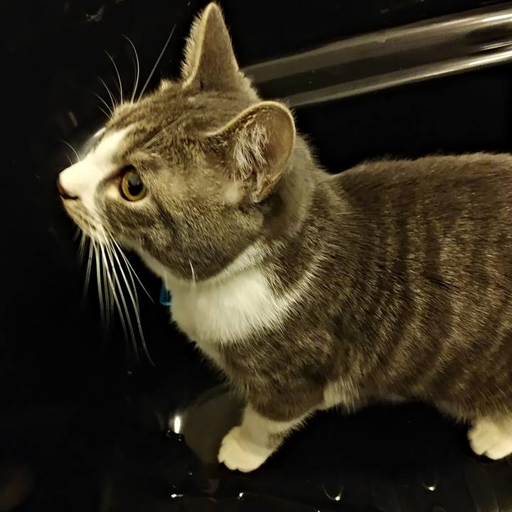 7a6fb090 e7db 41d7 8f12 e2fc96cba301 1576679207663