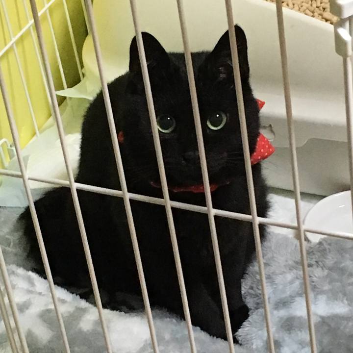 7a6fc33d 0fb8 4005 b7b1 48a0c33bca73 1538056644968