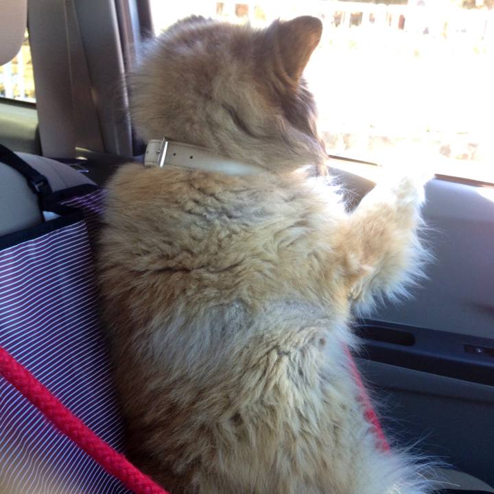 7a6fc5ed 3553 4f75 806c ddf4f2462e42 1547811511888