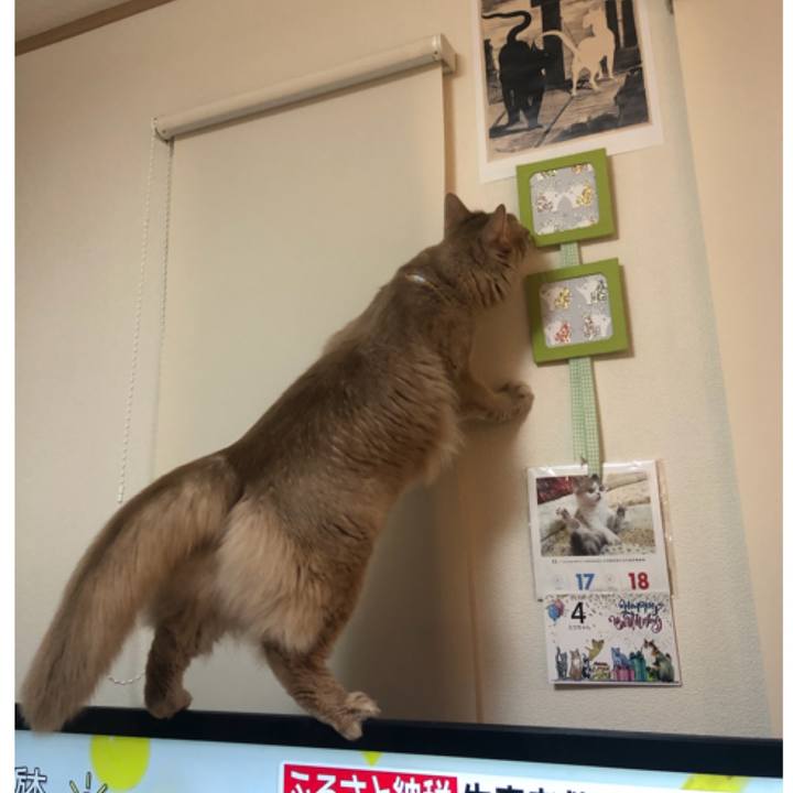 7a6fd923 e765 463a 8f8a 2cc1cf39eac9 1606784692176