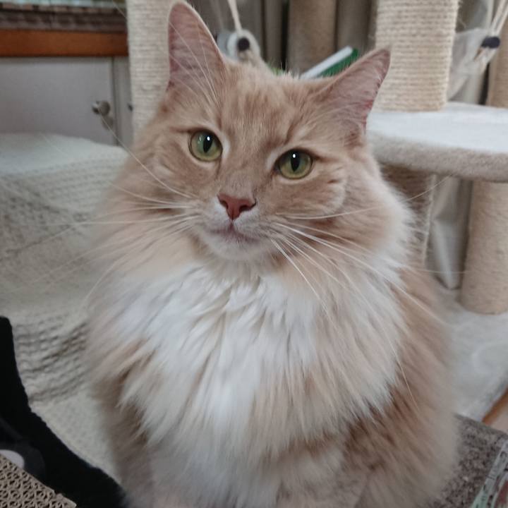 7a6fe65d 54fd 413e 8205 7bf1ee4d200b 1556159063901