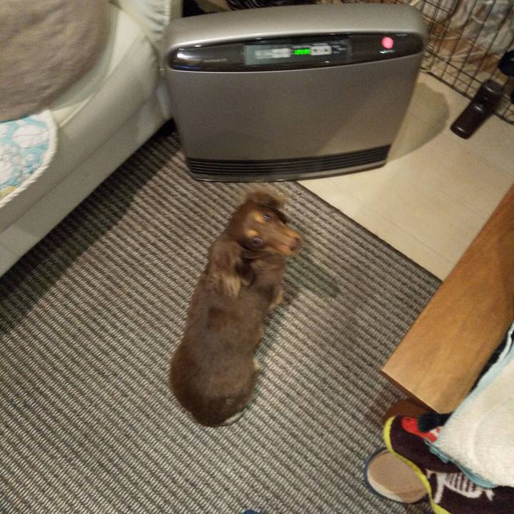 7a6ffbfd a29a 4249 a148 4df4469c4b95 1545389174129